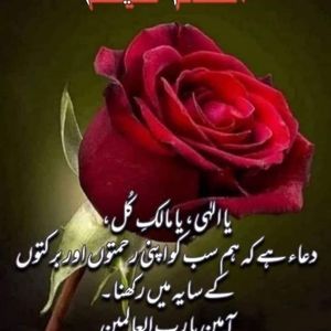 Meet your Posher, Doulathfathima2510@gmail.com